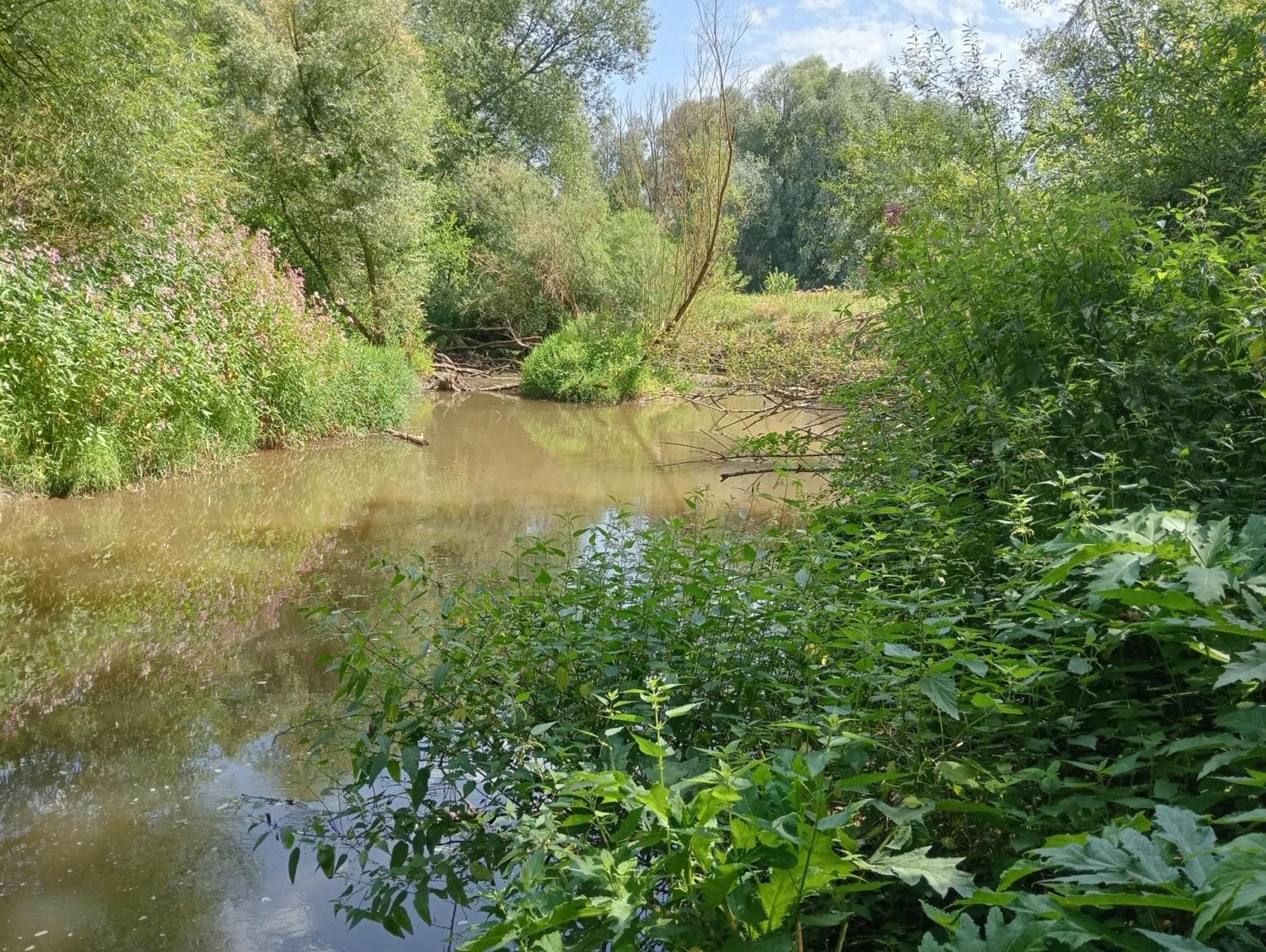 Bnb Het Geluk Van Limburg 梅赫伦 外观 照片