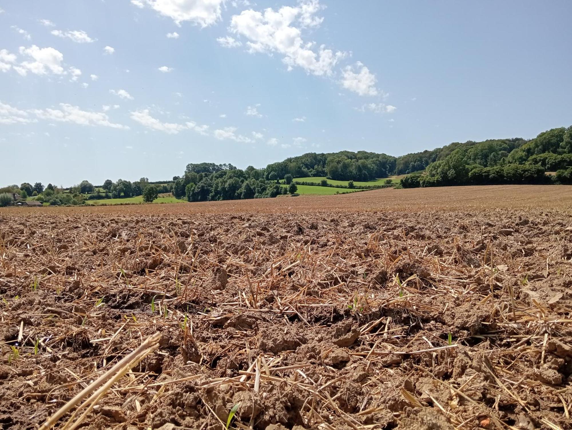 Bnb Het Geluk Van Limburg 梅赫伦 外观 照片