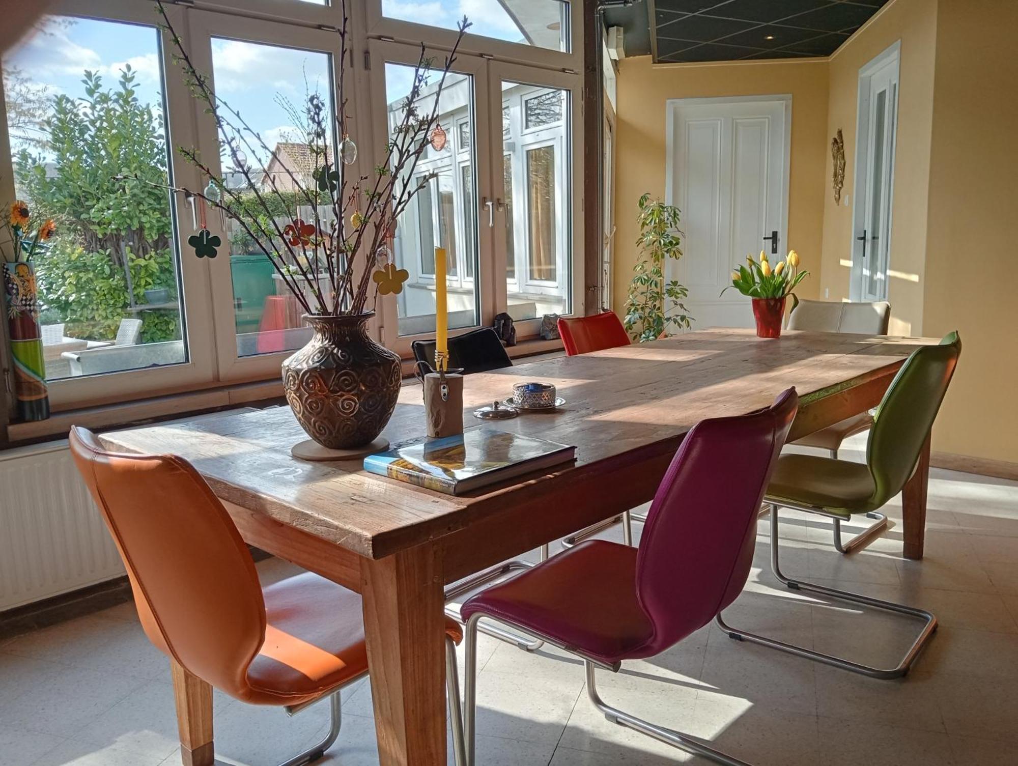 Bnb Het Geluk Van Limburg 梅赫伦 外观 照片